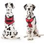 Vovodog Service Dog Harness, Adjustable No-Pull Pet Vest Harness, Comfortable Padded Dog Training Vest, Mesh Design with Hook and Handle for Small Medium Large Dogs