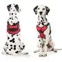 Vovodog Service Dog Harness, Adjustable No-Pull Pet Vest Harness, Comfortable Padded Dog Training Vest, Mesh Design with Hook and Handle for Small Medium Large Dogs