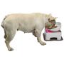 WZ PET Raised Ceramic Dog Feeding Bowl,Adjustable Elevated Dog Bowls Set Anti-Slip,Standing Pet Feeding Dish for Small Medium Dogs and Cats