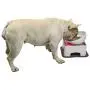 WZ PET Raised Ceramic Dog Feeding Bowl,Adjustable Elevated Dog Bowls Set Anti-Slip,Standing Pet Feeding Dish for Small Medium Dogs and Cats WZ PET Raised Ceramic Dog Feeding Bowl,Adjustable Elevated Dog Bowls Set Anti-Slip,Standing Pet Feeding Dish for Small Medium Dogs and Cats