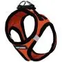 Best Pet Supplies Voyager Step-in Air Dog Harness - All Weather Mesh, Step in Vest Harness for Small and Medium Dogs Orange Base, XL (Chest: 21-23''), 207T-ORB-XL Best Pet Supplies Voyager Step-in Air Dog Harness - All Weather Mesh, Step in Vest Harness for Small and Medium Dogs Orange Base, XL (Chest: 21-23''), 207T-ORB-XL