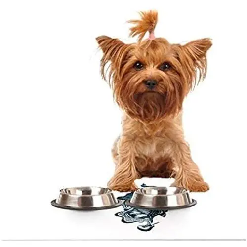 KESS InHouse Graham Curran Elephant Guitar Feeding Mat for Pet Bowl, 18 by 13-Inch KESS InHouse Graham Curran Elephant Guitar Feeding Mat for Pet Bowl, 18 by 13-Inch