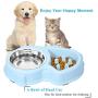 UPSKY Slow Feeder Dog Bowl No Choking Slow Feeder Bloat Stop Dog Food Water Bowl (Sky Blue)