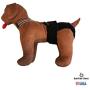 Barkertime Dog Diaper Suspender - American Stripes Adjustable Suspender to Keep Dog Diapers On