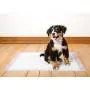 Hartz Home Protection Odor Eliminating Scented Dog Pads, Super Absorbent & Won’t Leak, Lavender Scent, Pad Size & Package Count Varies Hartz Home Protection Odor Eliminating Scented Dog Pads, Super Absorbent & Won’t Leak, Lavender Scent, Pad Size & Package Count Varies