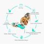 Dog Water Bottle for Walking, Pet Travel Water Drinking Cup With Collapsible Dog Bowl Waste Bag for Dogs and Poop Shovel, Portable Dispenser for Puppy, Cats, and Other Animals Outdoor Hiking Park