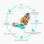Dog Water Bottle for Walking, Pet Travel Water Drinking Cup With Collapsible Dog Bowl Waste Bag for Dogs and Poop Shovel, Portable Dispenser for Puppy, Cats, and Other Animals Outdoor Hiking Park Dog Water Bottle for Walking, Pet Travel Water Drinking Cup With Collapsible Dog Bowl Waste Bag for Dogs and Poop Shovel, Portable Dispenser for Puppy, Cats, and Other Animals Outdoor Hiking Park