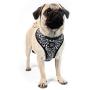 Now House by Jonathan Adler for Pets Dog Harnesses | Reversible Harnesses for Dogs Available in Multiple Prints and Sizes | Comfortable and Chic Dog Accessories for All Dogs