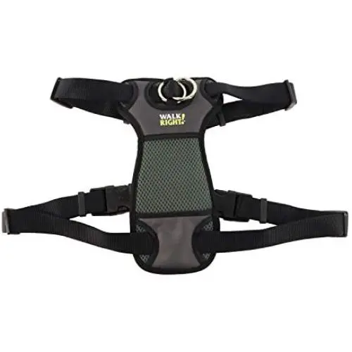 Coastal - Walk Right - Front-Connect Padded Dog Harness, Black for small, medium, large and xl Coastal - Walk Right - Front-Connect Padded Dog Harness, Black for small, medium, large and xl