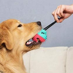 TuoTang Teeth Cleaning Dog chew Toy Distribution