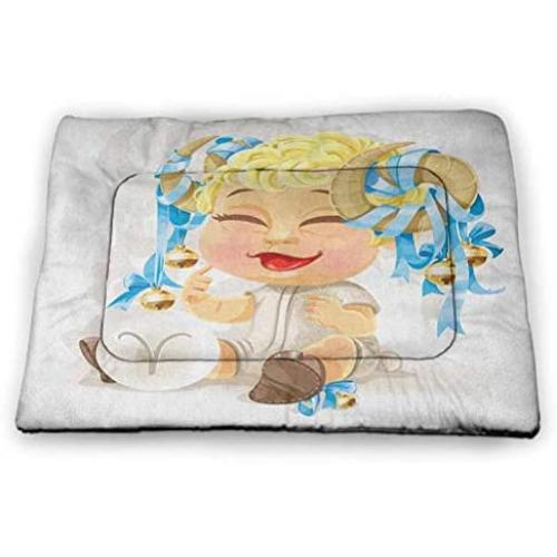 DayDayFun Zodiac Aquarius Pet Training Mat Little Astrology Girl with a Bucket Birthday Horoscope Character Housebreaking Absorption Pads Cinnamon Pale Blue