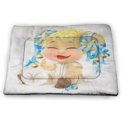 DayDayFun Zodiac Aquarius Pet Training Mat Little Astrology Girl with a Bucket Birthday Horoscope Character Housebreaking Absorption Pads Cinnamon Pale Blue DayDayFun Zodiac Aquarius Pet Training Mat Little Astrology Girl with a Bucket Birthday Horoscope Character Housebreaking Absorption Pads Cinnamon Pale Blue