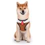 Spongebob Squarepants Dog Harness for Small Dogs