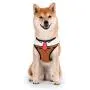 Spongebob Squarepants Dog Harness for Small Dogs Spongebob Squarepants Dog Harness for Small Dogs