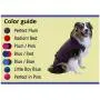 Surgi~Snuggly Disposable Dog Diapers Keeper - for Male and Female Dogs - Wrap Around Legs for Superior Fit - Fits (PL-SL-DK) Surgi~Snuggly Disposable Dog Diapers Keeper - for Male and Female Dogs - Wrap Around Legs for Superior Fit - Fits (PL-SL-DK)