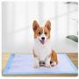 KIHKIH Dog Training Pad Puppy Training Pad Training Pad for Pet Puppy Pads Pet Training Pads Regular 20 Counts-Extra Thickened (Regular (1318), 20 Count)