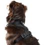 Prime Paw | Pure Luxury For Your Pet | No Pull Dog Harness, Cushioned, Breathable, Easy Walk Dog Harness, Adjustable, Light and Tactical Dog Vest for Walking Training Large, Medium and Small Size Dogs