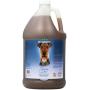 Bio-groom Bronze Luster Color Enhancing Pet Shampoo, Available in 2 Sizes