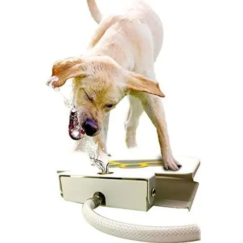 Dog Water Dispenser Pet Fountain - Upgraded 2020 Easy Paw Activated Dog Steps Eco-Friendly Pet Water Fountain with New Durable Leak-Proof Dog Bowl Hose Fresh Water Funny Dog Toys Keep Pets Cool Dog Water Dispenser Pet Fountain - Upgraded 2020 Easy Paw Activated Dog Steps Eco-Friendly Pet Water Fountain with New Durable Leak-Proof Dog Bowl Hose Fresh Water Funny Dog Toys Keep Pets Cool