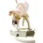 Dog Water Dispenser Pet Fountain - Upgraded 2020 Easy Paw Activated Dog Steps Eco-Friendly Pet Water Fountain with New Durable Leak-Proof Dog Bowl Hose Fresh Water Funny Dog Toys Keep Pets Cool Dog Water Dispenser Pet Fountain - Upgraded 2020 Easy Paw Activated Dog Steps Eco-Friendly Pet Water Fountain with New Durable Leak-Proof Dog Bowl Hose Fresh Water Funny Dog Toys Keep Pets Cool