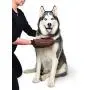The Original Dirty Dog Grooming Mitt is Two Tools in One with Ultra Absorbent Microfiber to Quick Dry Wetness or Slobber and Flexible Silicone Brush to Massage and Detangle Fur