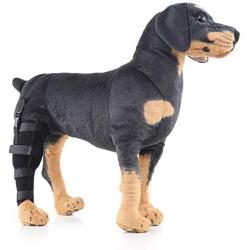 Alfie Pet - Shane Dog Right Rear Leg Hock Braces