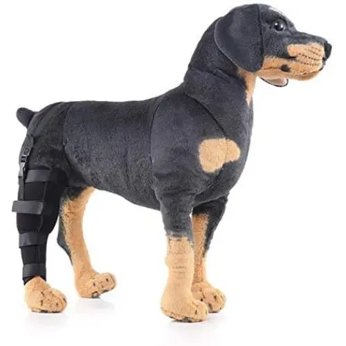 Alfie Pet - Shane Dog Right Rear Leg Hock Braces Alfie Pet - Shane Dog Right Rear Leg Hock Braces
