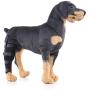 Alfie Pet - Shane Dog Right Rear Leg Hock Braces