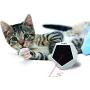 Felix & Fido Playdot! Interactive Cat Toy - 4 Operating Modes Make This Cat Toy Interactive! Battery Operated Cat Toy