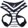 Pinkaholic New York Cordelia Harness Pinkaholic New York Cordelia Harness