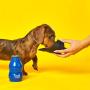 Wild & Woofy Lap It Up Durable 2-in-1 Dog Water Bottle & Travel Bowl