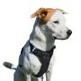 Quinnky Pets Adjustable Dog Harness - Dog Body Harness - 2 Leash Clips - Black Dog Harness - Heavy Duty Dog Harness - Large Dog Harness Heavy Duty - Dog Harness for Large Dogs - Tactical Pet Harness Quinnky Pets Adjustable Dog Harness - Dog Body Harness - 2 Leash Clips - Black Dog Harness - Heavy Duty Dog Harness - Large Dog Harness Heavy Duty - Dog Harness for Large Dogs - Tactical Pet Harness