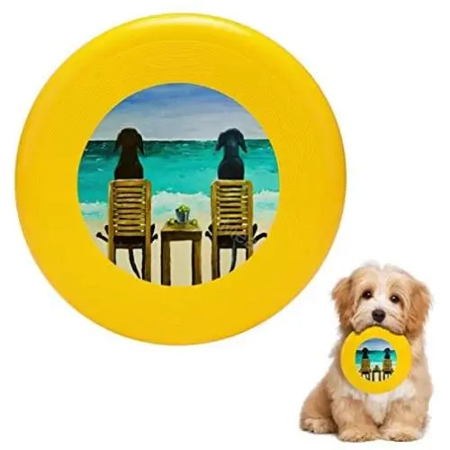 Pet Frisbee Flying Disc Dog Toy - Multifunction Beach Bums Roger Wedegis Pet Frisbee Flying Disc Dog Toy - Multifunction Beach Bums Roger Wedegis