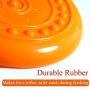 Charmsong Dog Flying Disc