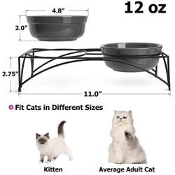 Y YHY Cat Bowls,Cat Food Bowls Elevated, Raised Cat Bowls for Food and Water, Ceramic Pet Bowls for Indoor Cats or Dogs, Protect Pets Spine,Dishwasher Safe,12 Ounces