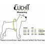 Sleepypod ClickIt Sport Crash-Tested Car Safety Dog Harness