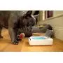 Sure Petcare - SureFeed - Motion Activated Sealed Pet Bowl Sure Petcare - SureFeed - Motion Activated Sealed Pet Bowl
