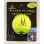 Hyper Pet Fling Pro Toy
