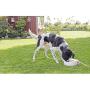 Royal Pet Club Automatic Outdoor Water Trough, 1.5 L/24 x 10 x 23 cm, White, 0.61 kg