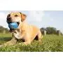 Nerf Dog Sports Ball Dog Toys, Lightweight, Durable and Water Resistant, 2.5 Inches, for Small/Medium/Large Breeds, Four Pack, Mixed Colors, Model:3372 Nerf Dog Sports Ball Dog Toys, Lightweight, Durable and Water Resistant, 2.5 Inches, for Small/Medium/Large Breeds, Four Pack, Mixed Colors, Model:3372