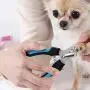 Cat & Dog Pets Nail Clippers and Trimmer, Safety Guard to Avoid Over Cutting, Professional Pet Nail Clippers and Claw Trimmer, with Ultra Sharp Stainless Steel Blades for Large and Small Animals Cat & Dog Pets Nail Clippers and Trimmer, Safety Guard to Avoid Over Cutting, Professional Pet Nail Clippers and Claw Trimmer, with Ultra Sharp Stainless Steel Blades for Large and Small Animals