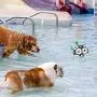 Patgoal Dog Ball, Soccer Ball for Dog, Indoor-Outdoor Interactive Dog Toys, Dog Water Toy with Grab Tabs, Dog Toys for Small Medium Dogs