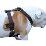 Genuine Leather Dog Harness X-Large 33''-40'' Chest, 1.3'' Wide Adjustable Straps
