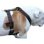 Genuine Leather Dog Harness X-Large 33''-40'' Chest, 1.3'' Wide Adjustable Straps Genuine Leather Dog Harness X-Large 33''-40'' Chest, 1.3'' Wide Adjustable Straps