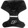 Pets First Purdue Harness, Medium
