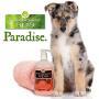 Best Shot Pet Scentament Wild Orchid Vanilla Caressing Puppy Wash