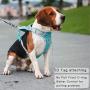 FULVARA Dog Harness No Pull Pet Harness, Reflective Dog Vest, Adjustable No Choke with Front and Back Leash Hooks Harness Breathable Soft Mesh for Small Medium Large Dogs