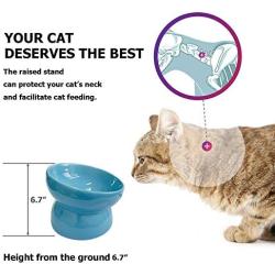 ZYYRT Ceramic Elevated Cat Bowl 6.7In Raised Cat Food Water Dish Slanted Kitten Bowls for Tilt Angle Protect Cats Spine, Backflow Prevention