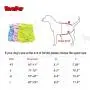 BINGPET Dog Diapers Female Washable Reusable (Pack of 3) Large