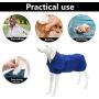 Geyecete Dog Drying Coat -Dry Fast Dog Bag - Dog Bathrobe Towel - Microfibre Fast Drying Super Absorbent Pet Dog Cat Bath Robe Towel,Luxuriously Soft,